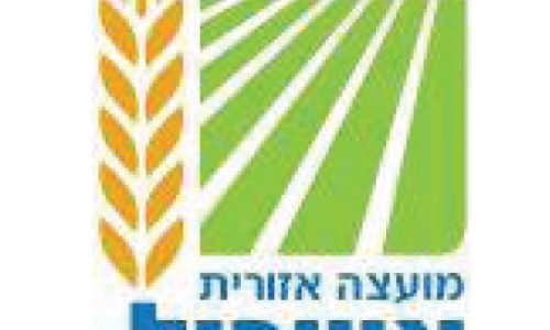 לוגו עיגול אשכול